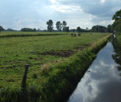 Wingst / Oppeln — Ortsansicht